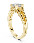 Shban ring