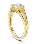 Miron ring