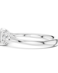 Delaira ring