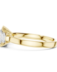Benjam ring