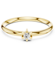 Noxen Ring