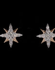 Awaken’s Stellar Sparkle  Diamond Earrings