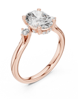 Nixelle ring