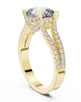 Zorian ring