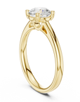 Cylen ring