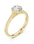 Rinaya ring