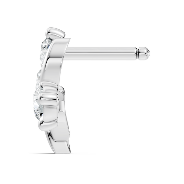 Ariza Nosepin image 8