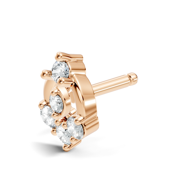 Saira Nosepin image 4