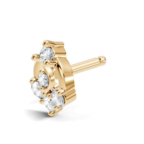 Saira Nosepin image 10