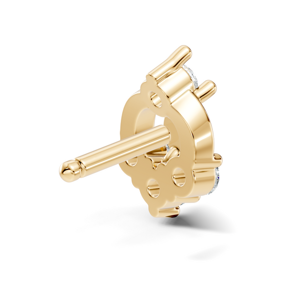 Saira Nosepin image 12