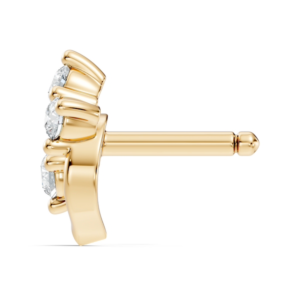 Vexa Nosepin image 11