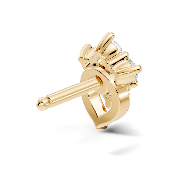 Vexa Nosepin image 12