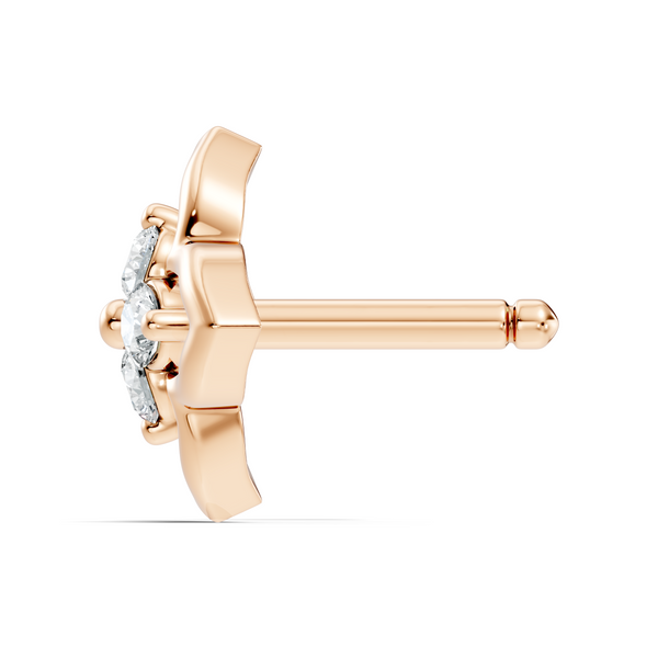 Aelix Nosepin image 5