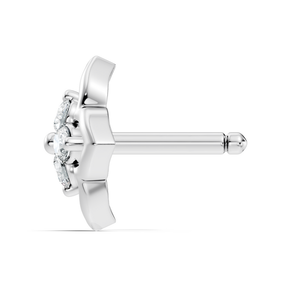 Aelix Nosepin image 8