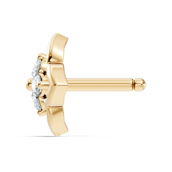 Aelix Nosepin image 11