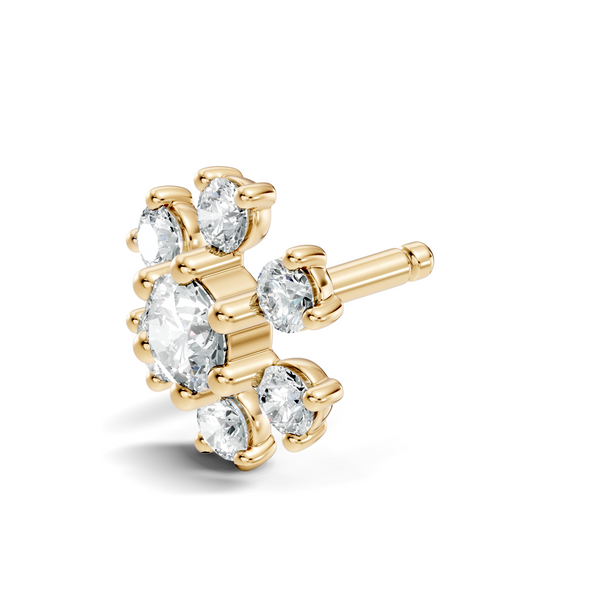 Tivon Nosepin image 10