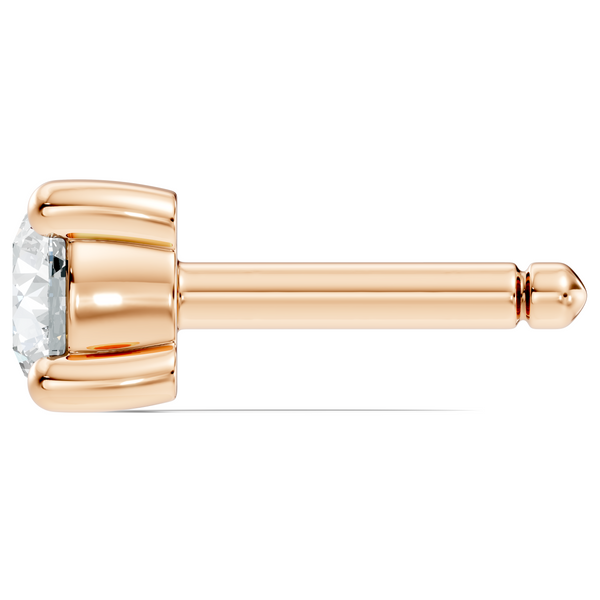 Xavie Nosepin image 5