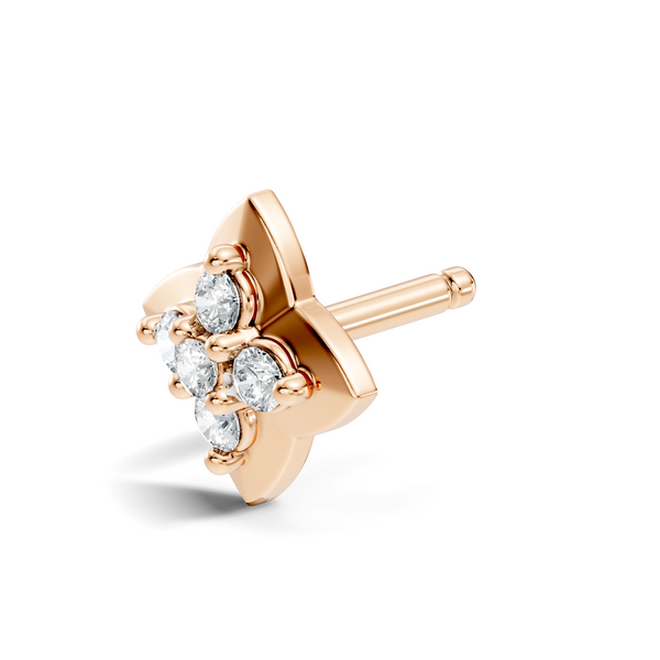 Ariya Nosepin image 4