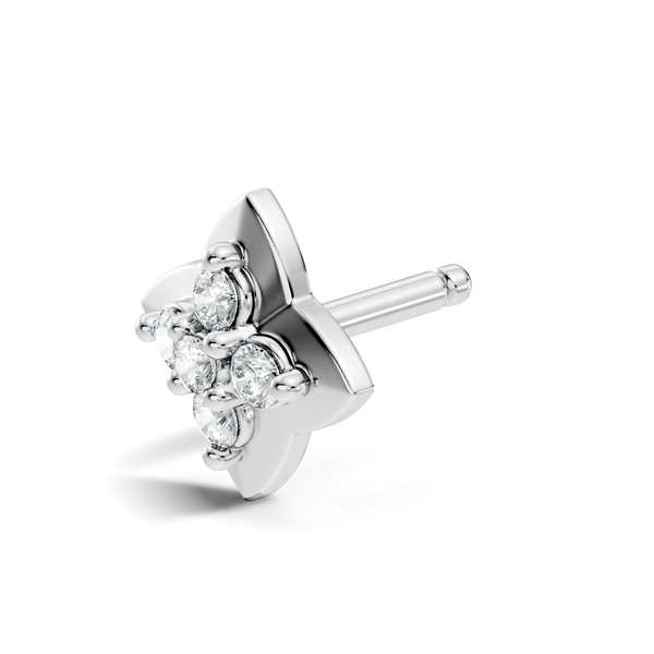 Ariya Nosepin image 7