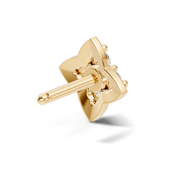 Ariya Nosepin image 12