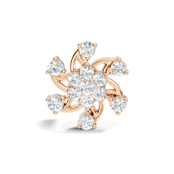 Aivra Nosepin image 1