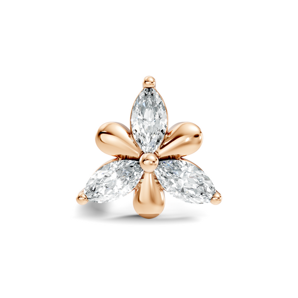 Aiven Nosepin image 1