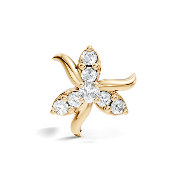 Aivon Nosepin image 2