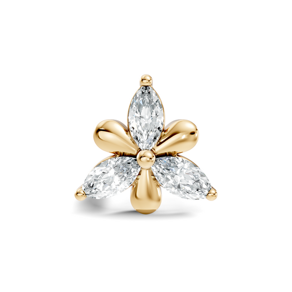 Aiven Nosepin image 2