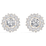 Rose Gold 4Ct Cluster Halo Pear Lab Grown Diamond Avyelle Earring