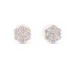 Gold 0 50Ct Round Cluster Lab Grown Diamond Stud Earrings