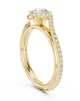 Timaeus ring