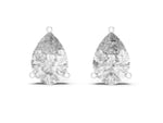 Ceto Earrings