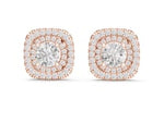 Cedon Earrings