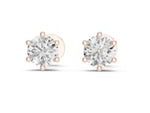 Zelos Earrings