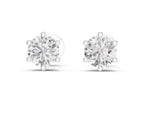 Zelos Earrings